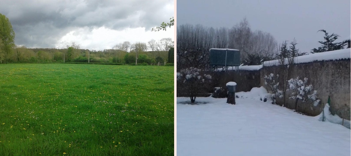 Salle des fetes - Photo 1